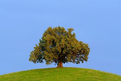 ֢״ʲô