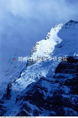 综Բ⣿