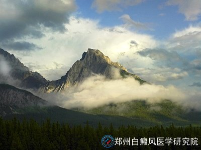 综ʳӦóʲô