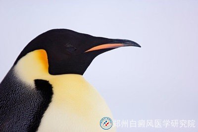 综